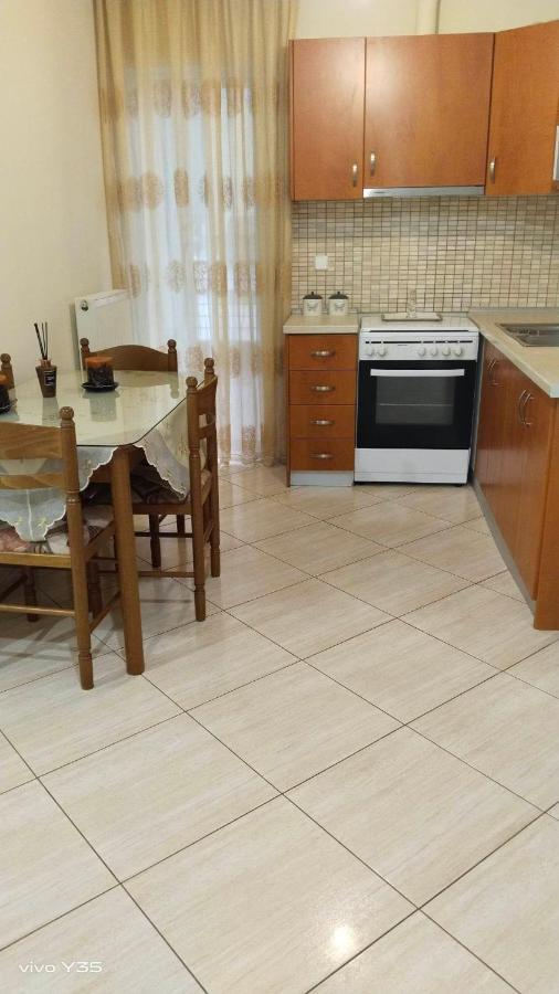 Апартаменты Ομορφο Διαμερισμα Στο Κεντρο Της Πολης Με Παρκιν Трикала Экстерьер фото